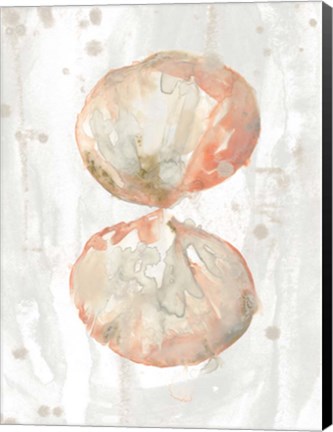 Framed Muted Molusk I Print