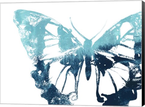 Framed Butterfly Imprint I Print