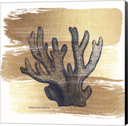 Framed Brushed Gold Elkhorn Coral Print