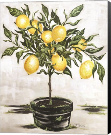 Framed Lemon Tree Print