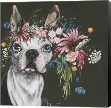 Framed Boston Terrier Print