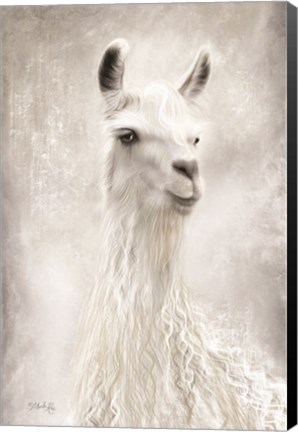 Framed Lulu the Llama Up Close Print