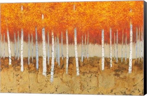 Framed Autumn Birches Print