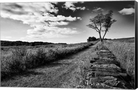 Framed Stone Wall Print