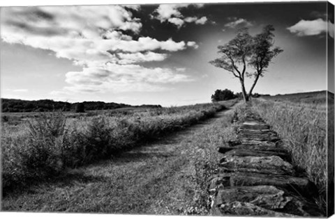 Framed Stone Wall Print