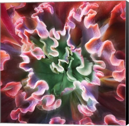 Framed Rippled Edges Print