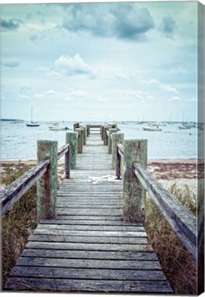 Framed Cape Cod Print