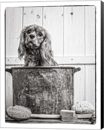 Framed Vintage Puppy Bath Print