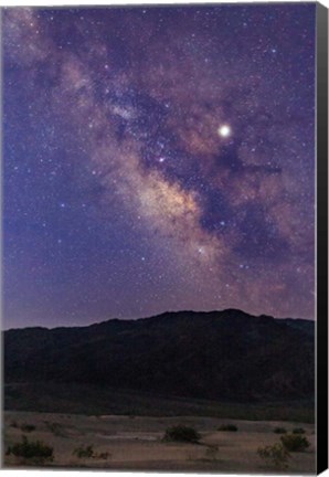 Framed Mesquite Milky Way Print