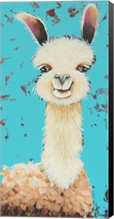 Framed Llama Sue Print