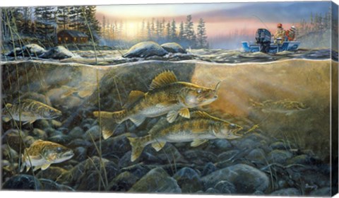 Framed Walleyes On The Rocks Print