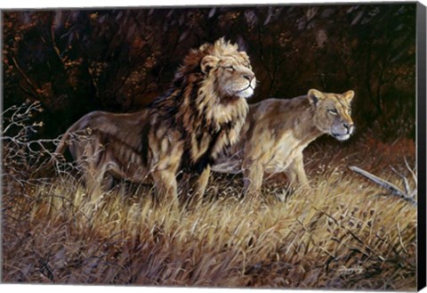 Framed Lions Print