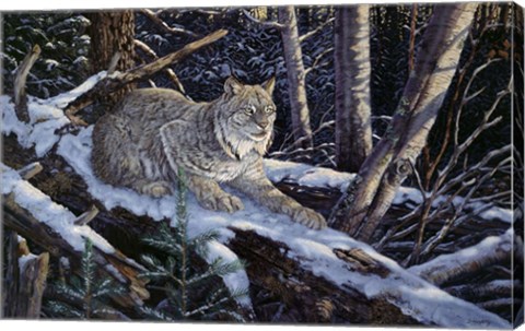 Framed Snow Moon Lynx Print