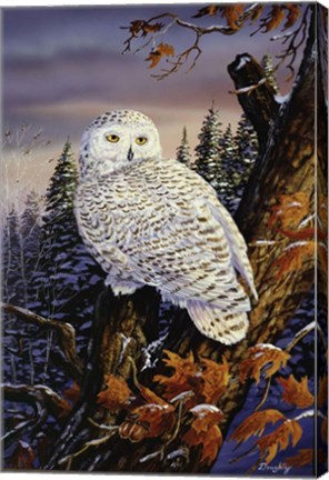 Framed Snowy Owl Print