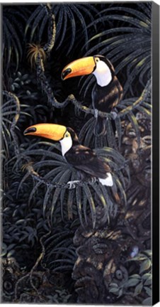 Framed Toucans Print