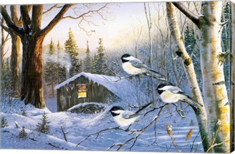 Framed Evening Shadows Print
