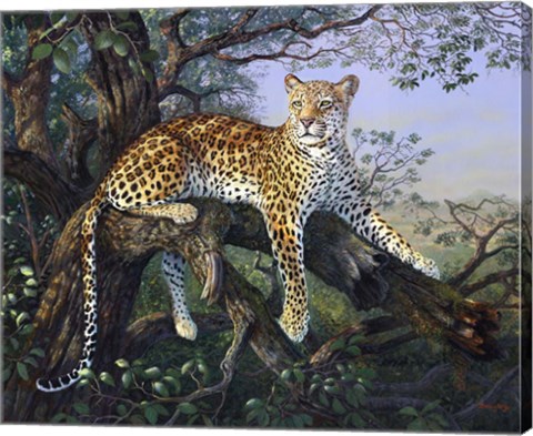 Framed Leopard&#39;s Domain Print