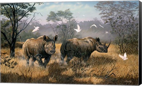 Framed Rhino Print