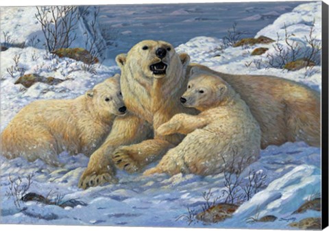 Framed Snow Bears Print