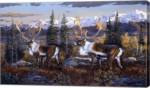 Framed Caribou Print