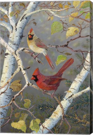 Framed Cardinals In Birch Print