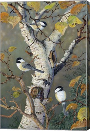 Framed Chickadees In Birch Print