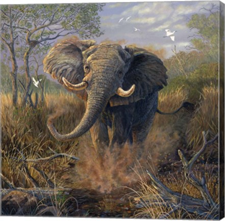 Framed Angry Tusker Print