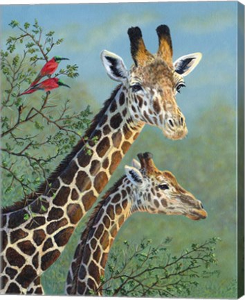 Framed Tree Toppers Print
