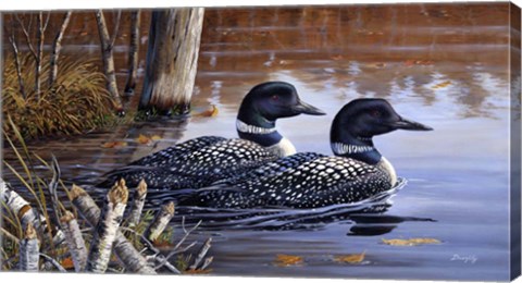 Framed Beaver Pond Loons Print