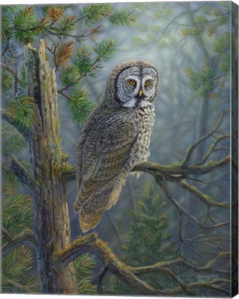 Framed Gray Dawn Owl Print