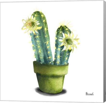 Framed Cactus Flowers II Print