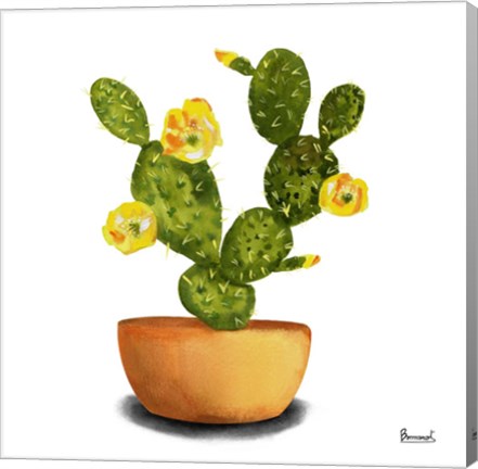 Framed Cactus Flowers III Print