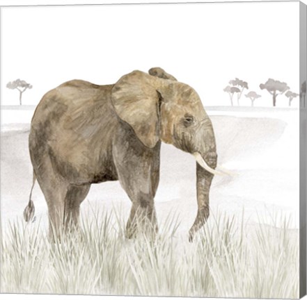 Framed Serengeti Elephant Square Print