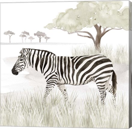 Framed Serengeti Zebra Square Print