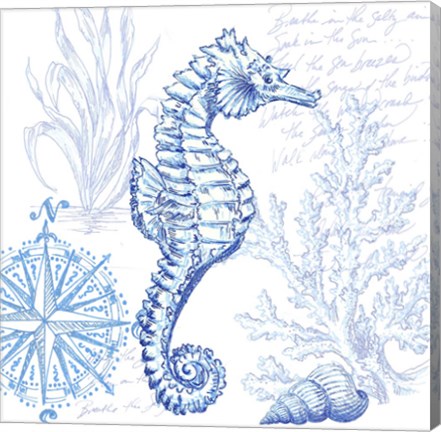 Framed Coastal Sketchbook Sea Horse Print