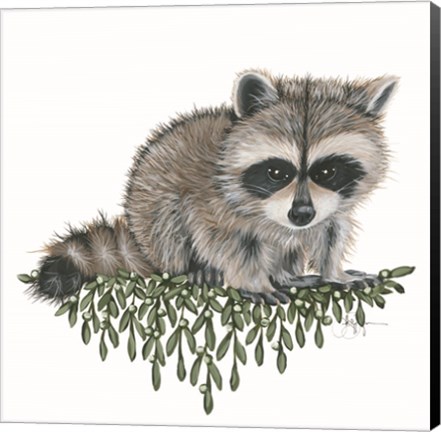 Framed Baby Raccoon Print