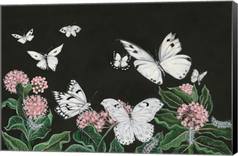 Framed Butterflies Print