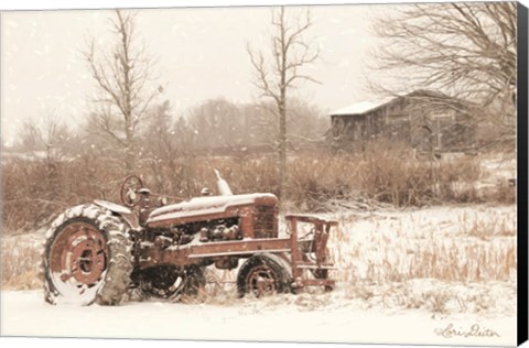 Framed Snow Covered Print