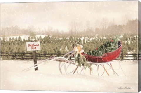 Framed Red Sleigh at Tree Farm Print