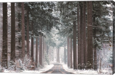 Framed Pines in Winter Dress Print