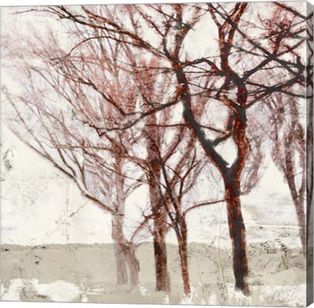 Framed Rusty Trees II Print