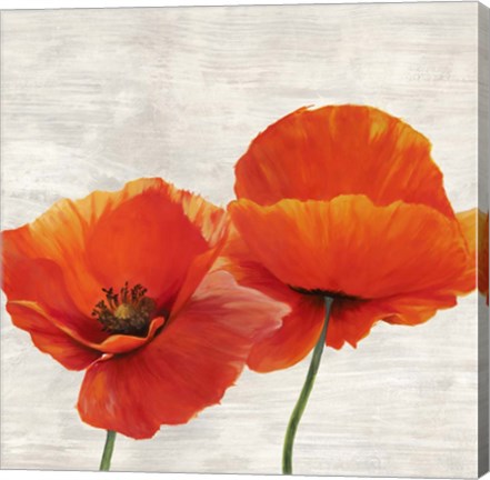 Framed Bright Poppies II Print