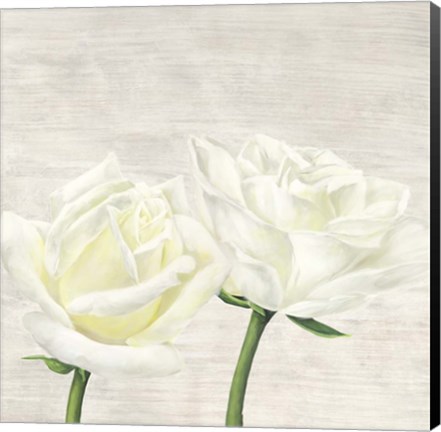 Framed Classic Roses II Print