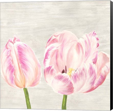 Framed Classic Tulips I Print