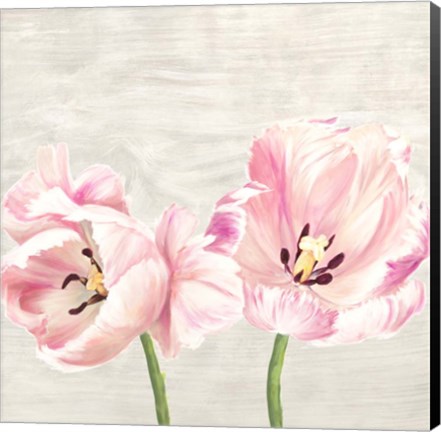 Framed Classic Tulips II Print