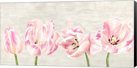 Framed Classic Tulips Print