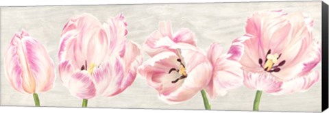 Framed Classic Tulips Print