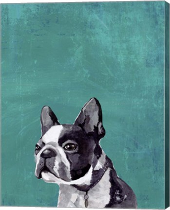 Framed Frenchie Puppy Print