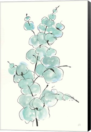 Framed Eucalyptus Branch IV Print