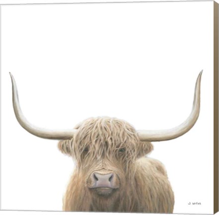 Framed Highland Cow Sepia Sq Print